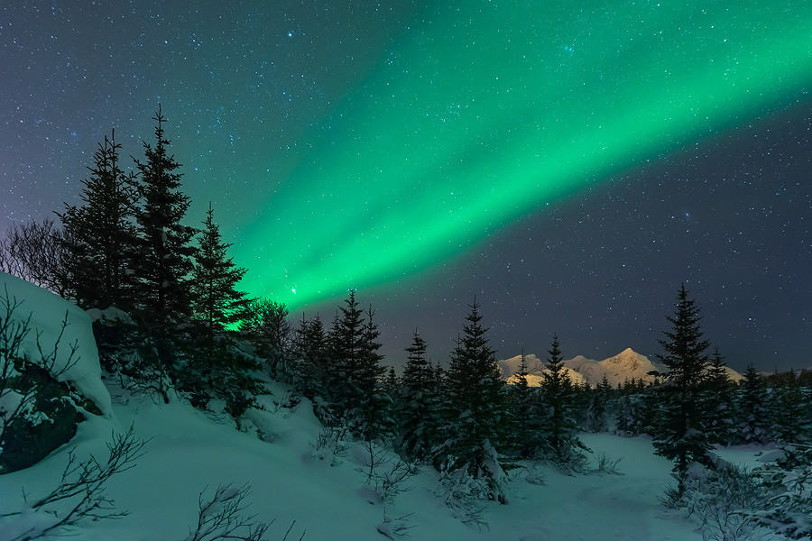 Aurora Stream